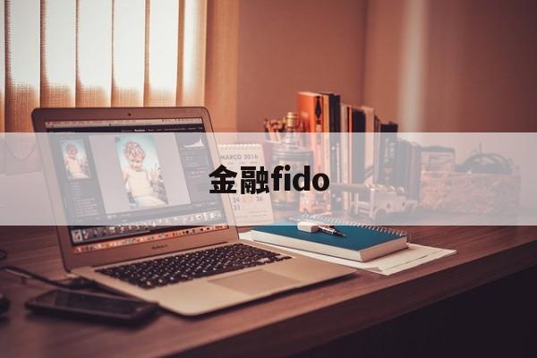 金融fido(财富金融的概念)