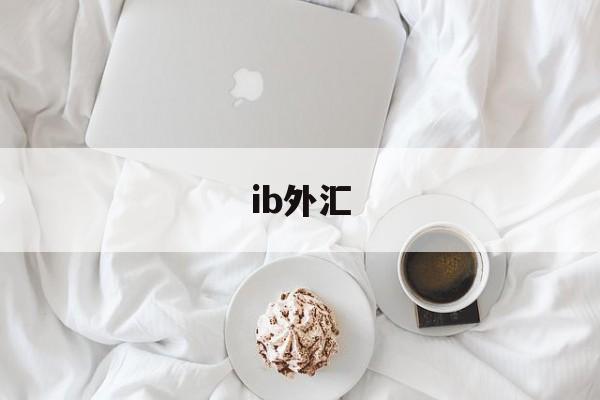 ib外汇(ib外汇佣金)